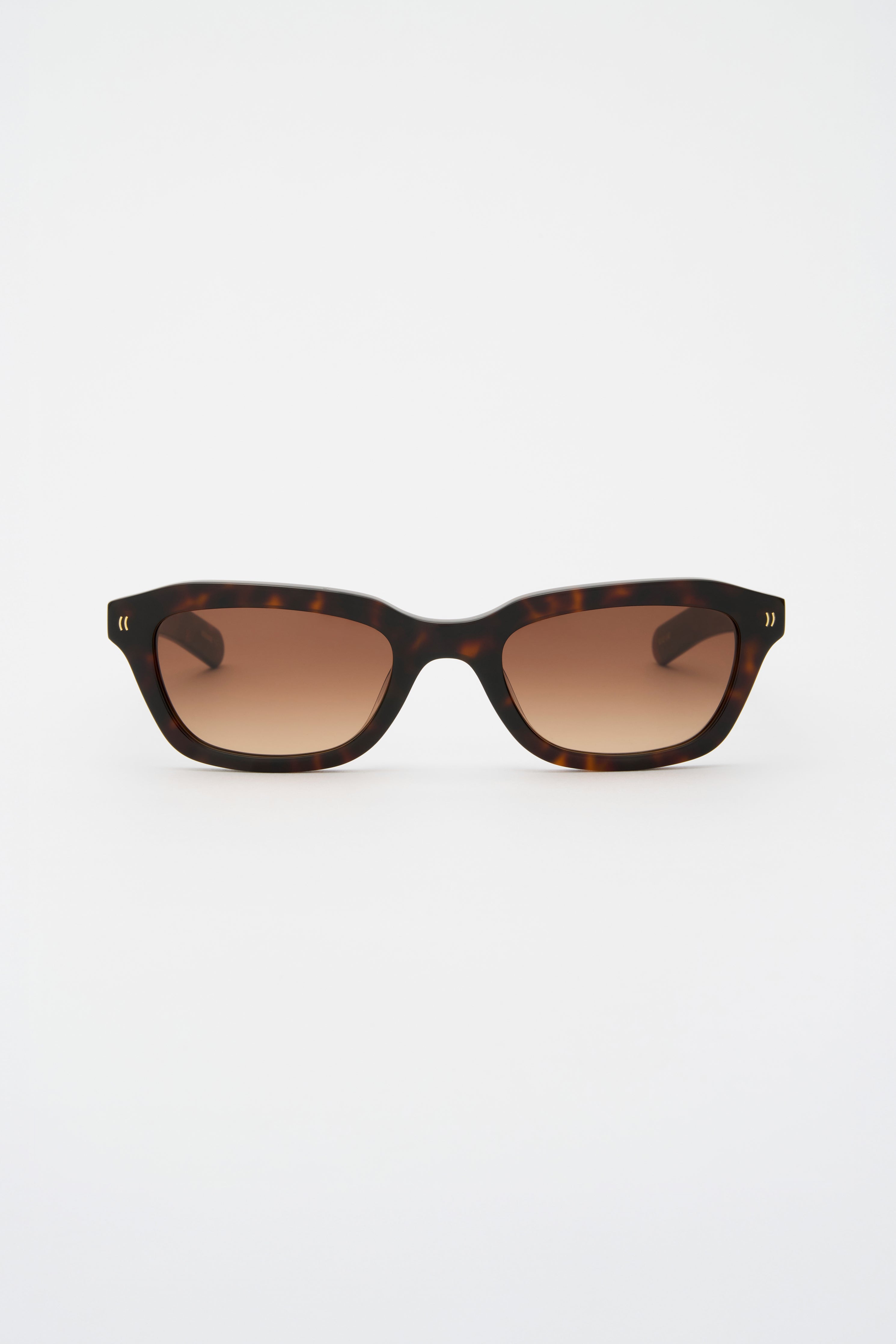 CLINT Dark Tortoise / Brown Gradient Lens | FLATLIST – FLATLIST