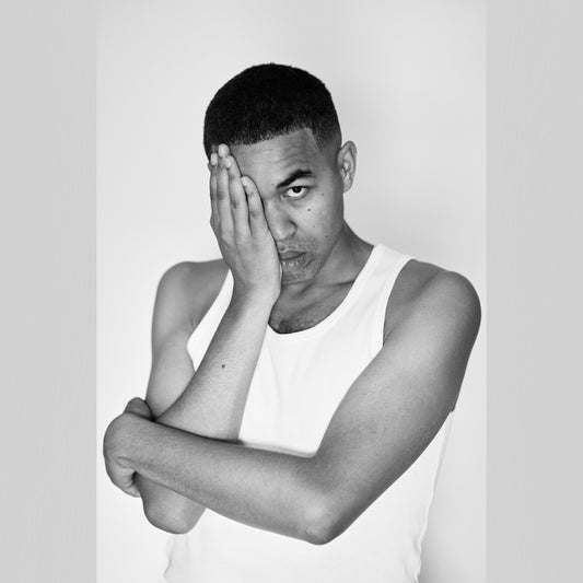 Ny Dansker album cover