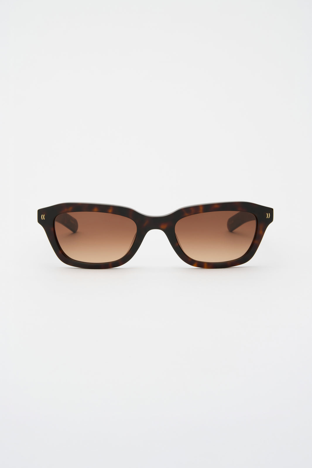 CLINT Dark Tortoise / Brown Gradient Lens