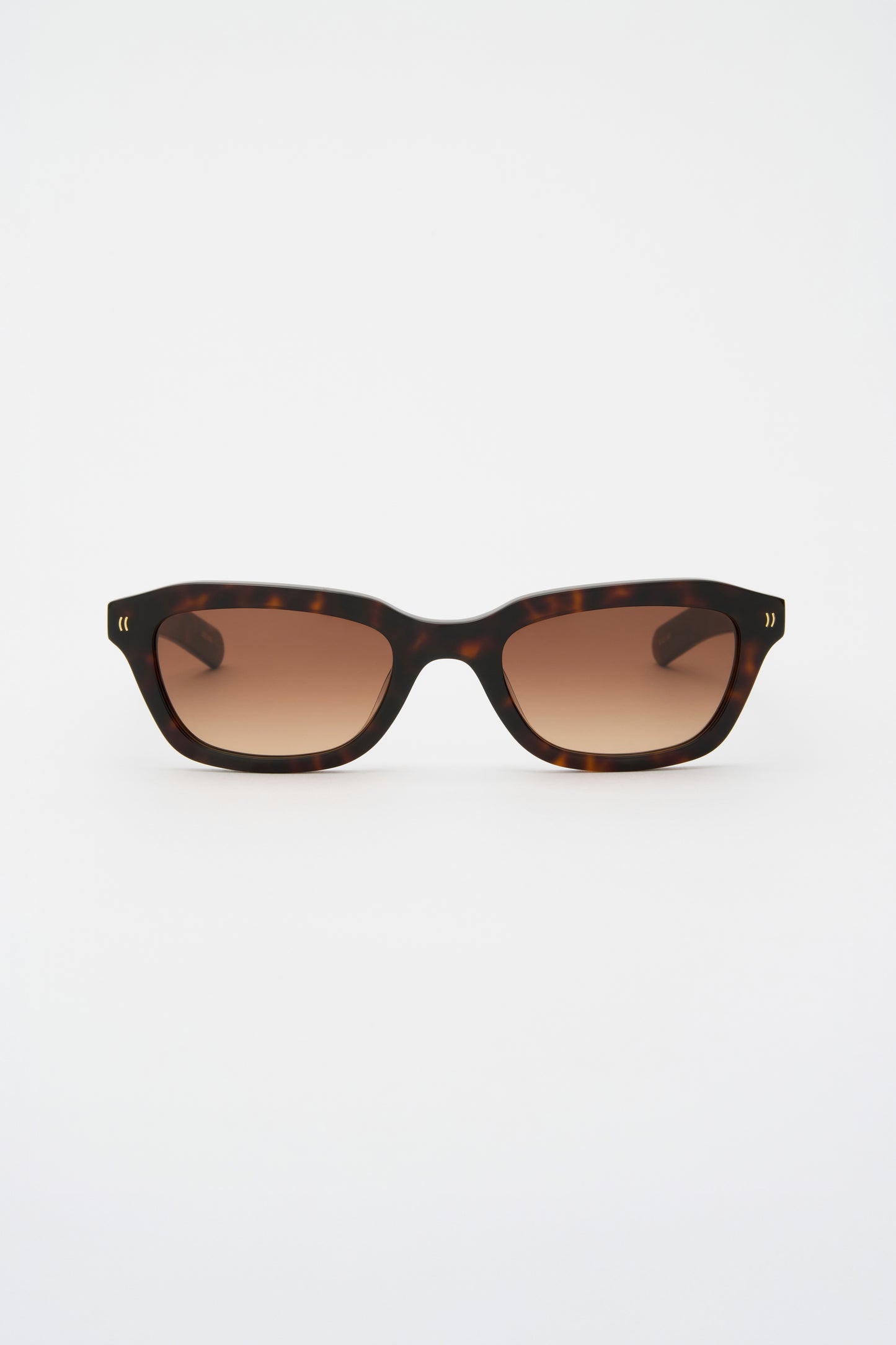 CLINT Dark Tortoise / Brown Gradient Lens