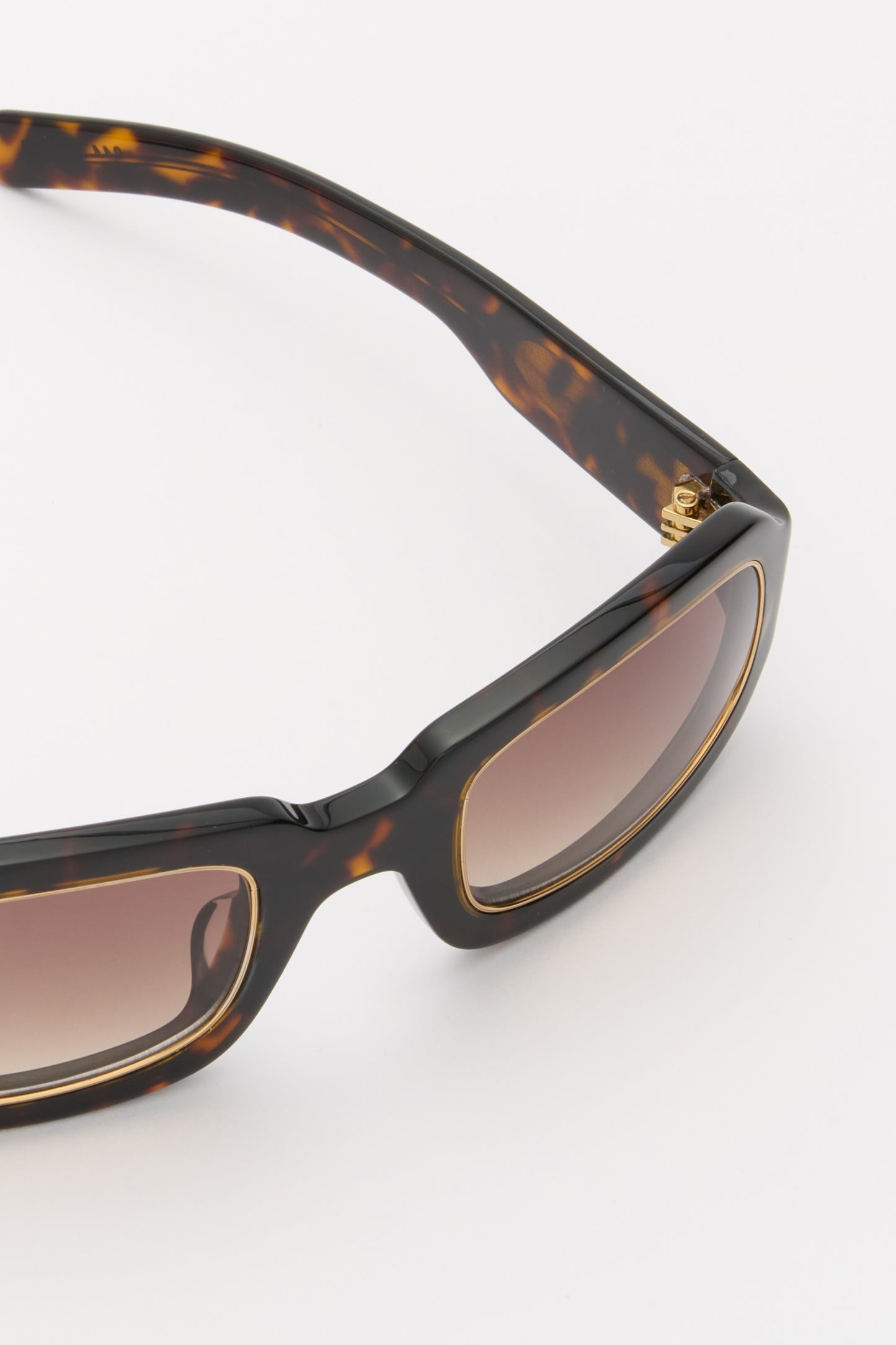 FRAME Dark Tortoise / Brown Gradient Lens