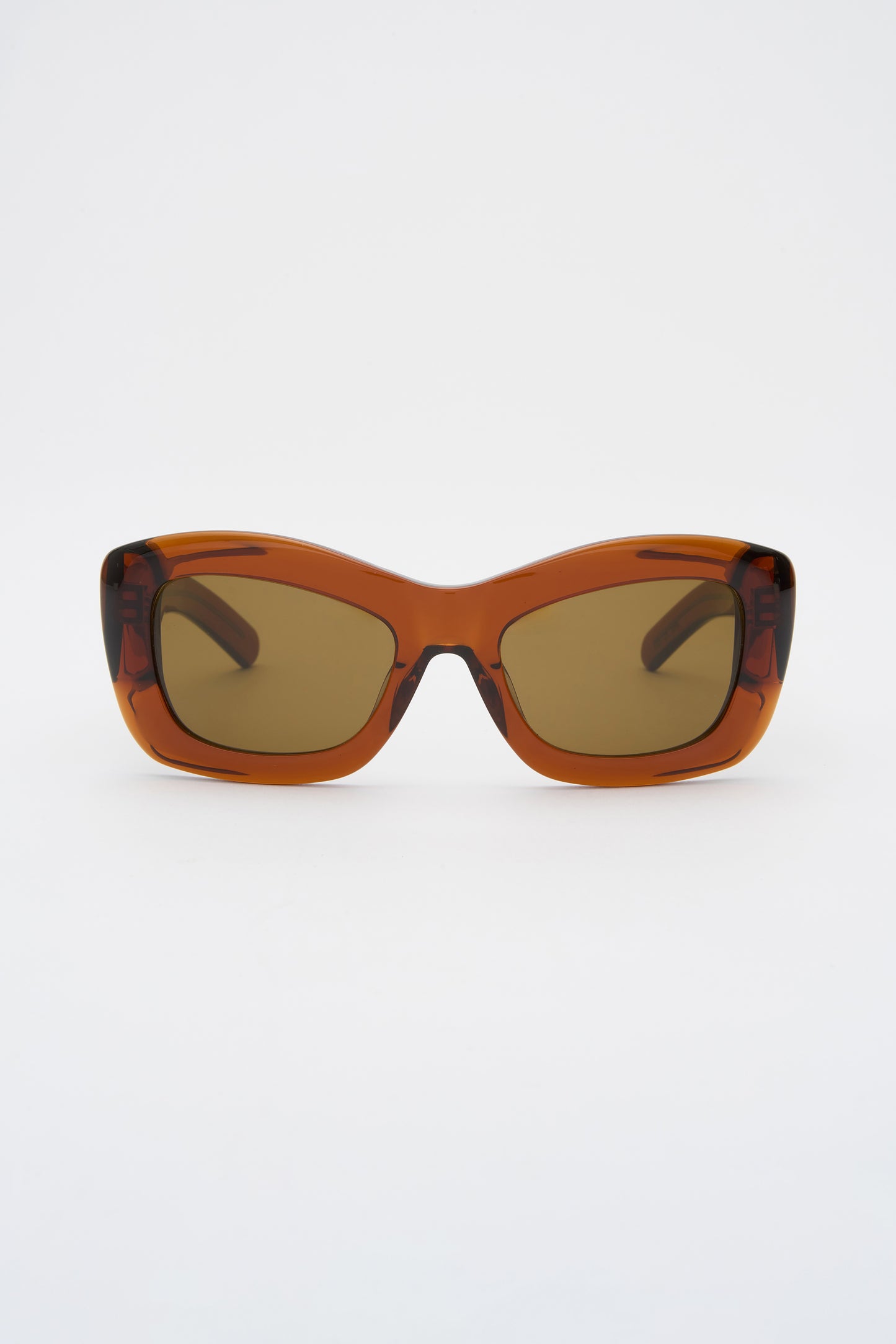 INEZ Crystal Brown / Brown Lens