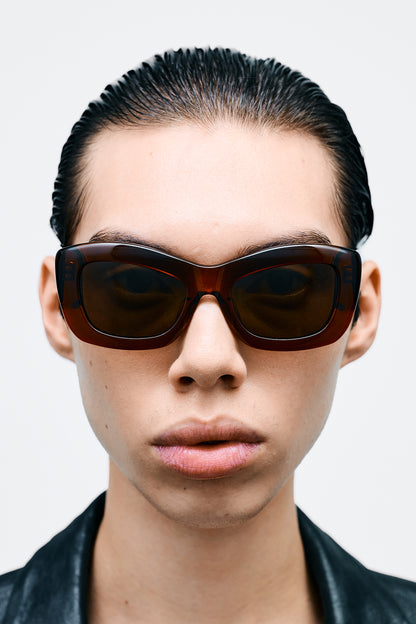 INEZ Crystal Brown / Brown Lens