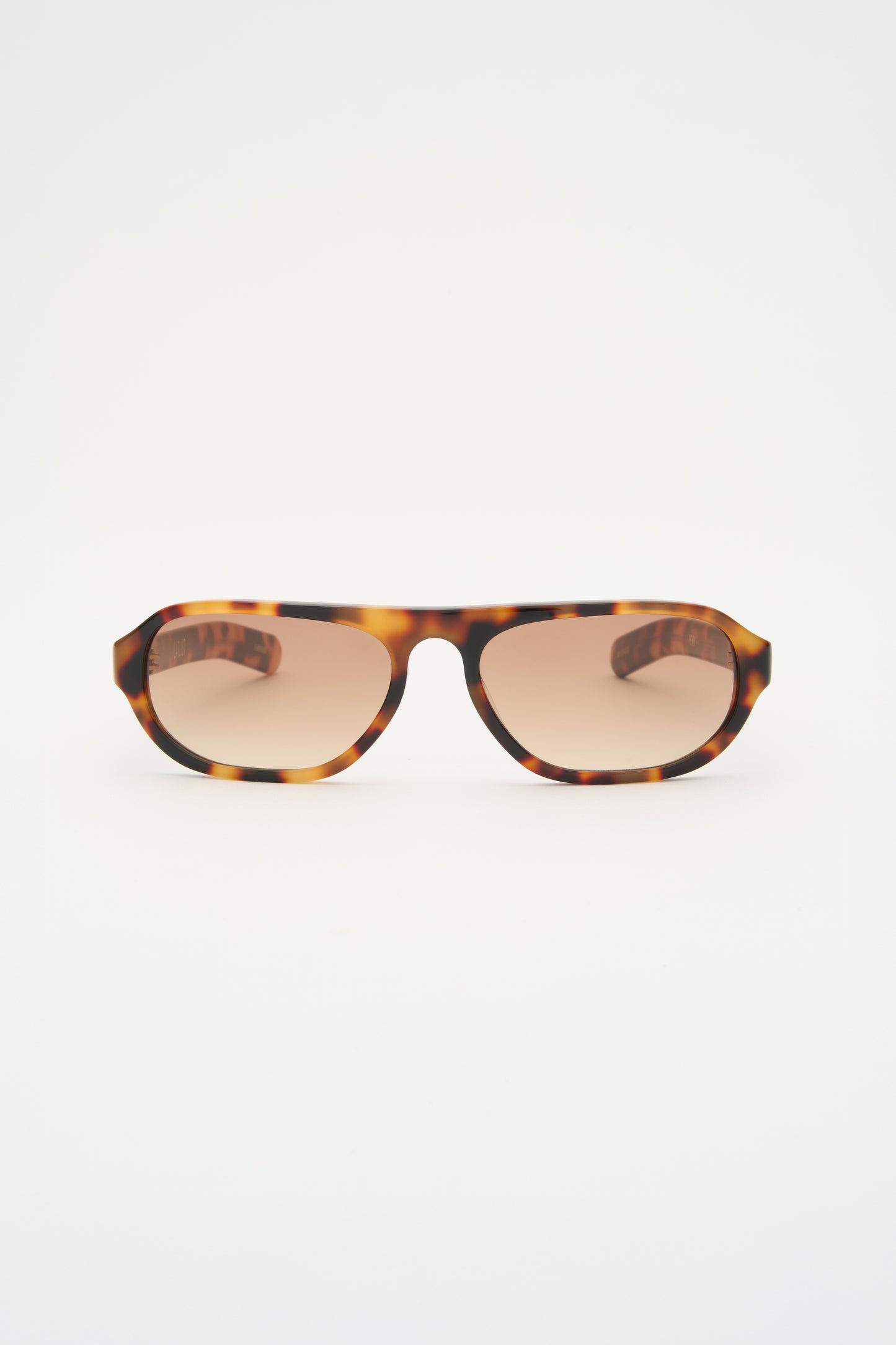 PENN Havana / Light Brown Gradient Lens