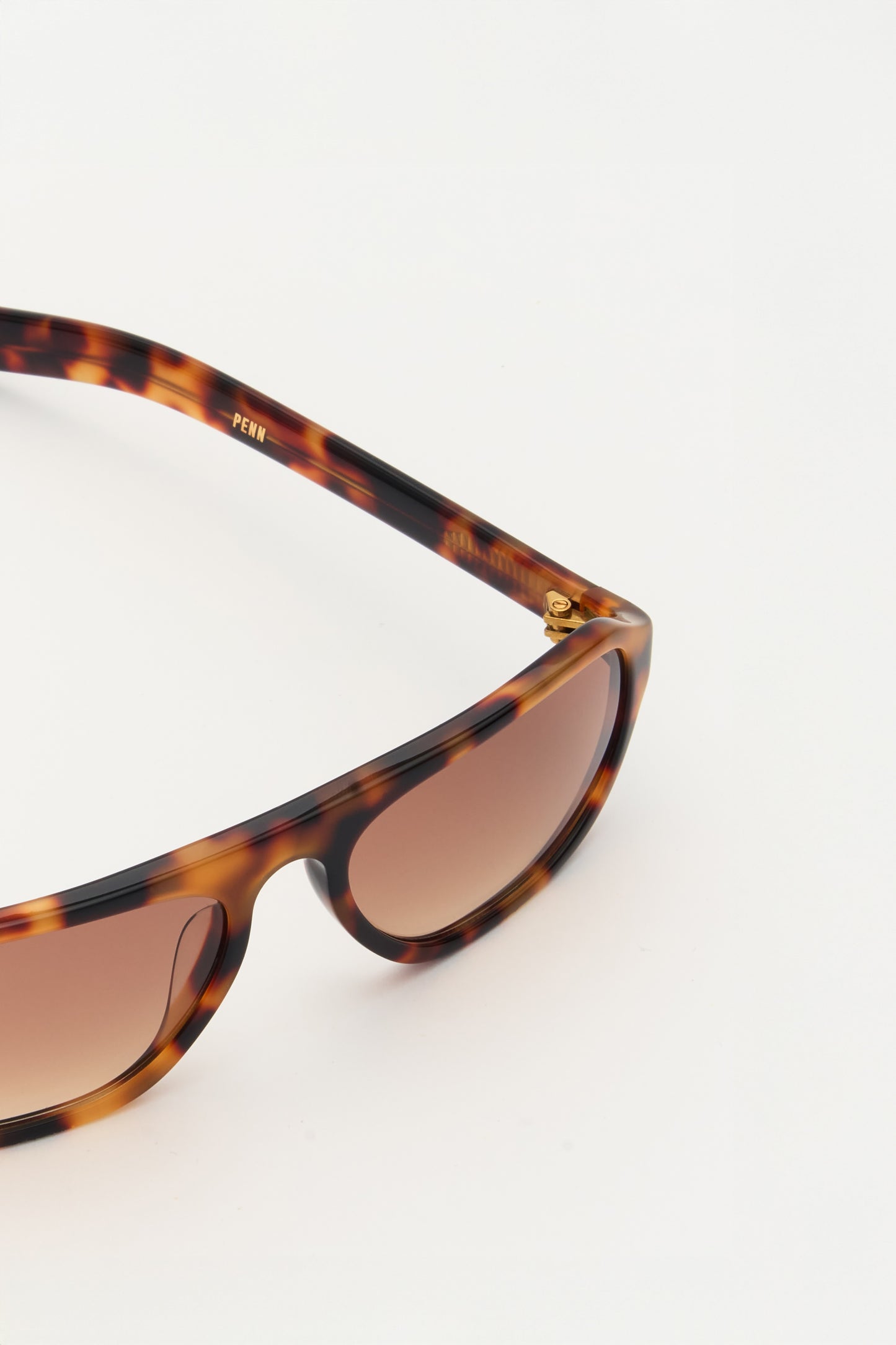 PENN Havana / Light Brown Gradient Lens
