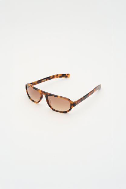 PENN Havana / Light Brown Gradient Lens