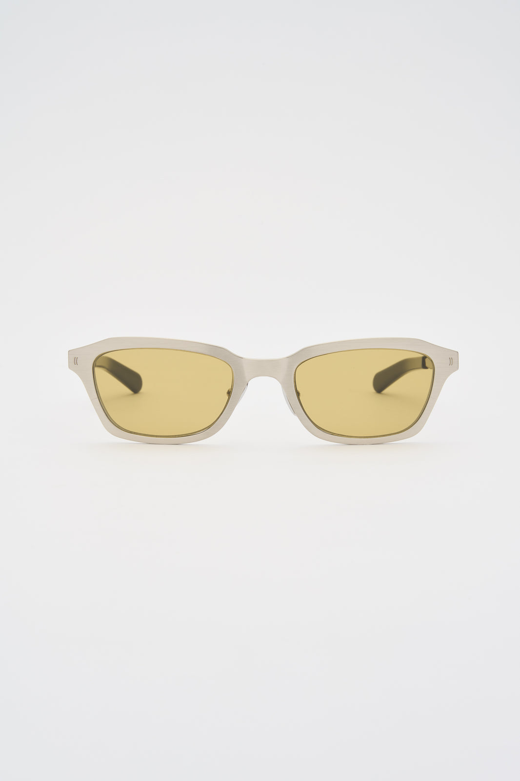 CLINT / TITANIUM Brushed Silver Solid Black / Smoked Olive Lens